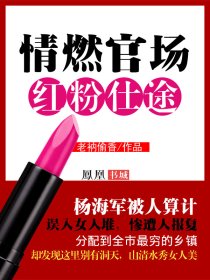 情燃官场：红粉仕途小说封面