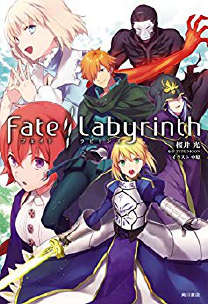 Fate Labyrinth小说封面